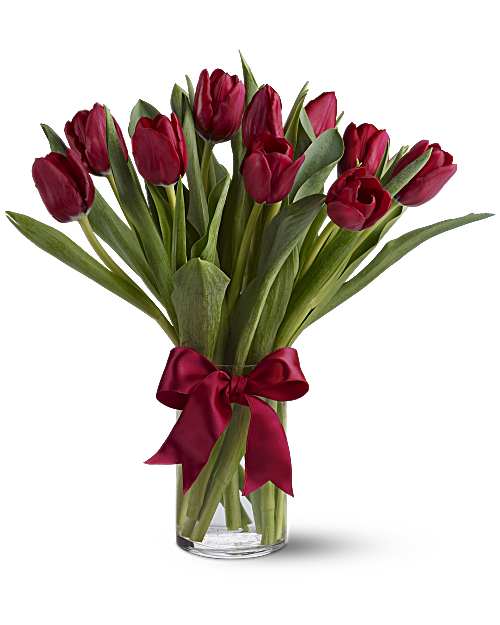 Red Tulips