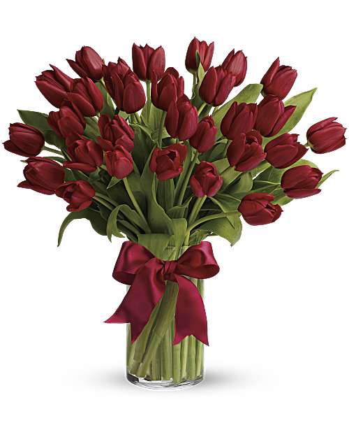 Red Tulips, photo 3