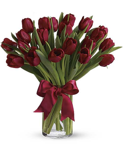 Red Tulips, photo 2